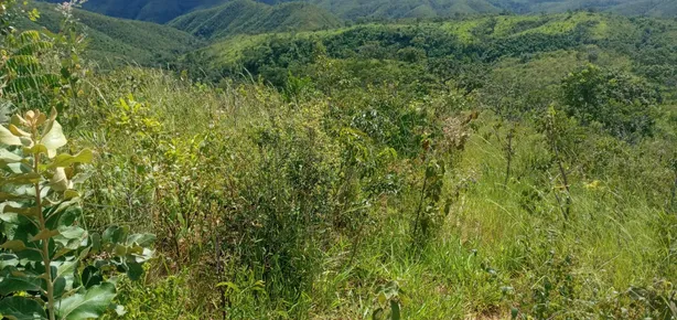 Fazenda/Sítio com 2 Quartos à venda, 4140000m² no , Padre Bernardo