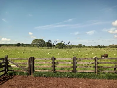Fazenda/Sítio com 1 Quarto à venda, 3115800m² no Zona Rural, Miracema do Tocantins