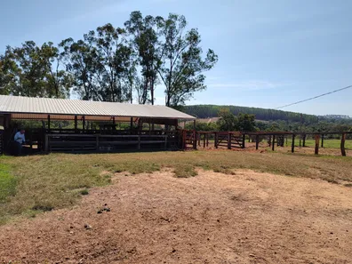 Fazenda/Sítio com 3 Quartos à venda, 90m² no , Jaraguá