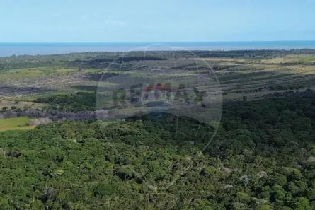 Fazenda/Sítio à venda, 7000000m² no Centro, 