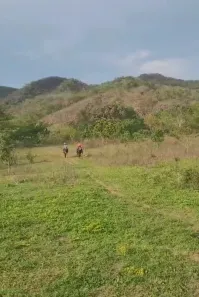 Fazenda/Sítio à venda, 269m² no Planalto, Niquelândia