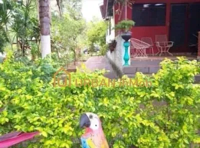 Fazenda/Sítio com 3 Quartos à venda, 200m² no , Avaí