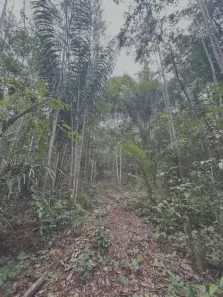 Lote/Terreno à venda, 652m² no , Rio Preto da Eva