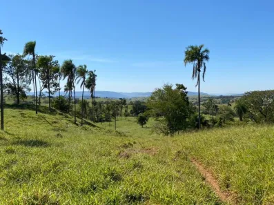Fazenda/Sítio com 4 Quartos à venda, 2420000m² no Vila Santa Terezinha, Inhumas