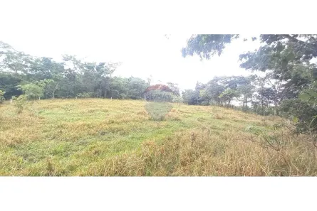 Fazenda/Sítio com 2 Quartos à venda, 30000m² no Área Rural de Brazlândia, Brasília