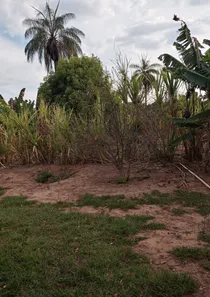 Fazenda/Sítio à venda no , Buritis