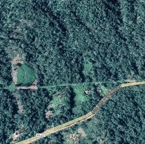 Fazenda/Sítio à venda, 121000m² no Potinga, Guaraqueçaba