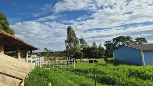 Fazenda/Sítio com 4 Quartos à venda, 618000m² no Setor Norte, Brasília