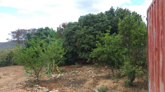 Lote/Terreno à venda, 4681m² no Palmital, Lagoa Santa