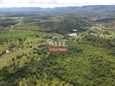 Fazenda/Sítio com 4 Quartos à venda, 500m² no , Goiás