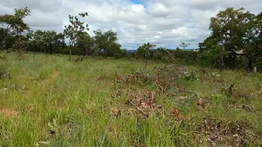 Lote/Terreno à venda, 1000m² no Campinho, Lagoa Santa