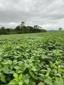 Fazenda/Sítio com 3 Quartos à venda, 2178000m² no , Niquelândia