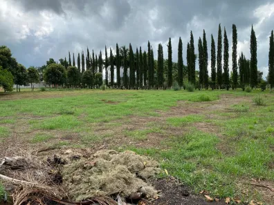 Fazenda/Sítio com 3 Quartos à venda, 48400m² no Área Rural, Goianira