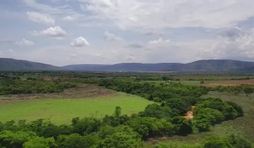 Fazenda/Sítio à venda no , Buritis