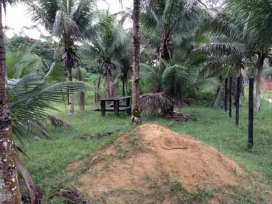 Lote/Terreno à venda no , Rio Preto da Eva