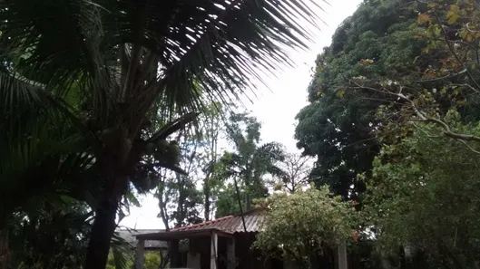 Fazenda/Sítio com 4 Quartos à venda, 120m² no Paciência, Rio de Janeiro