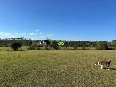 Fazenda/Sítio com 3 Quartos para venda ou aluguel, 559m² no , Balsa Nova