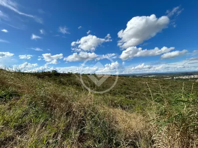 Lote/Terreno à venda, 1443m² no Parque das Orquídeas, Lagoa Santa