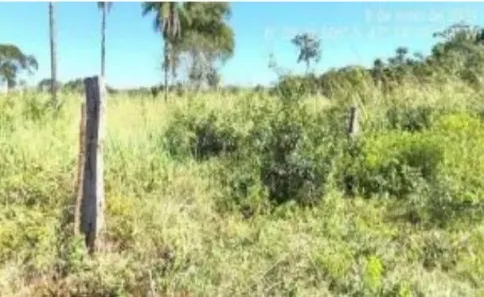Lote/Terreno à venda, 143m² no , Estreito