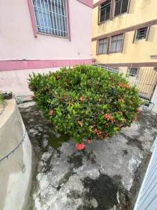 Apartamento com 2 Quartos à venda, 50m² no Copacabana, Belo Horizonte