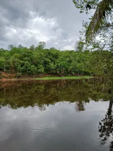 Fazenda/Sítio com 2 Quartos à venda, 13m² no , Aparecida do Rio Negro