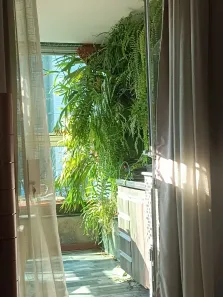 Apartamento com 4 Quartos para alugar, 140m² no Dona Clara, Belo Horizonte
