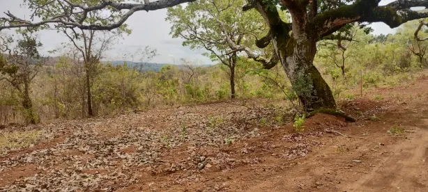 Lote/Terreno à venda, 20000m² no , Paraopeba