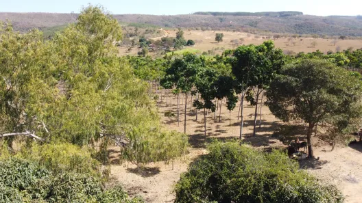 Lote/Terreno à venda, 20000m² no , Cordisburgo
