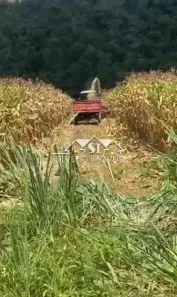 Fazenda/Sítio com 5 Quartos à venda, 350m² no Posse, Petrópolis