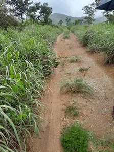 Fazenda/Sítio com 2 Quartos à venda, 280000m² no , Padre Bernardo