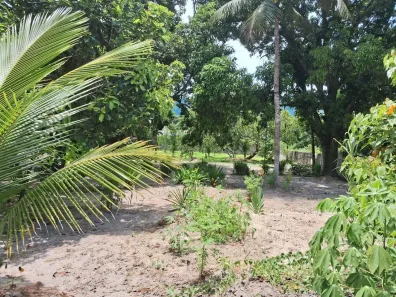 Fazenda/Sítio com 4 Quartos à venda, 5000m² no Hararas da Peniche, Tanguá