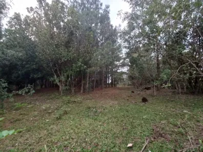 Lote/Terreno à venda, 3000m² no Krahe, Viamão