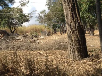 Lote/Terreno à venda, 560000m² no Casa Amarela, Betim