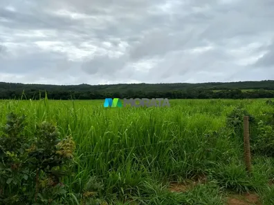 Fazenda/Sítio com 1 Quarto à venda, 620m² no , Morro da Garça