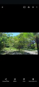 Lote/Terreno à venda, 800m² no , Vera Cruz