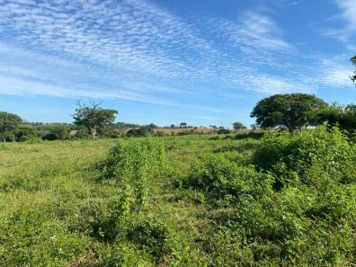 Fazenda/Sítio à venda, 134500m² no Setor Central, Guapó