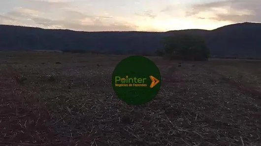 Fazenda/Sítio à venda, 8700000m² no , Buritis
