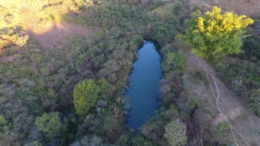Fazenda/Sítio com 3 Quartos à venda, 490000m² no , Brasília