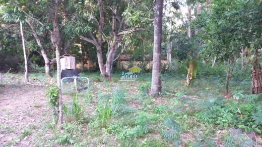 Fazenda/Sítio com 3 Quartos à venda, 120000m² no , José de Freitas