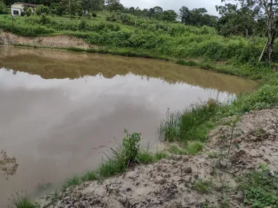 Lote/Terreno à venda, 20000m² no , Fortuna de Minas