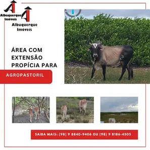 Lote/Terreno à venda, 176500m² no , Humberto de Campos