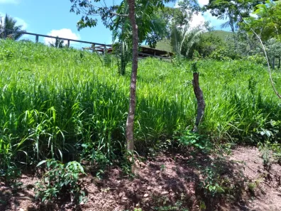 Fazenda/Sítio com 3 Quartos à venda, 3000000m² no , Padre Bernardo