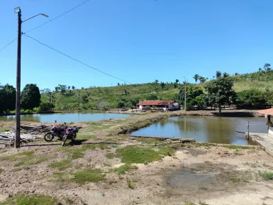 Fazenda/Sítio com 3 Quartos à venda, 1890000m² no , Coroatá