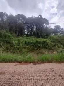 Lote/Terreno à venda, 150m² no Caminho da Eulália, Bento Gonçalves