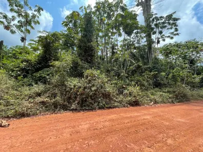 Lote/Terreno à venda, 4000m² no Centro, Presidente Figueiredo