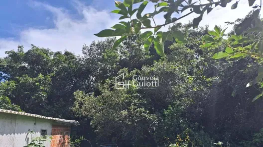Fazenda/Sítio com 2 Quartos à venda, 50m² no , Leopoldo de Bulhões