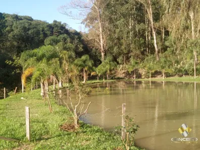 Fazenda/Sítio com 3 Quartos à venda, 160m² no Área Rural de Farroupilha, Farroupilha
