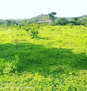 Fazenda/Sítio à venda no Jardim Vera Cruz, Jaraguá