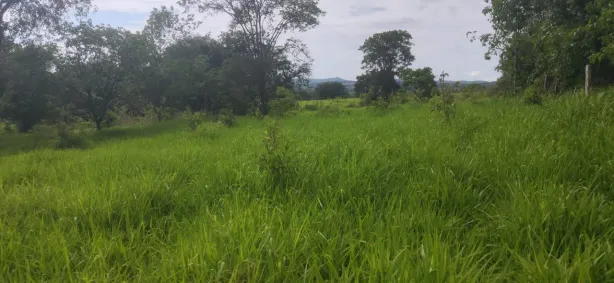 Fazenda/Sítio à venda, 580800m² no Centro, Jaraguá