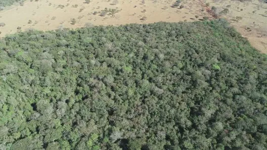 Fazenda/Sítio à venda, 43562m² no , Terezópolis de Goiás